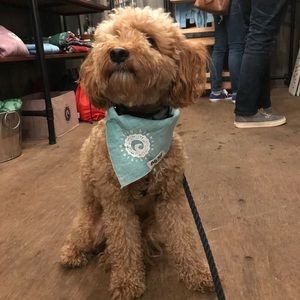 Meet your Posher, Mk